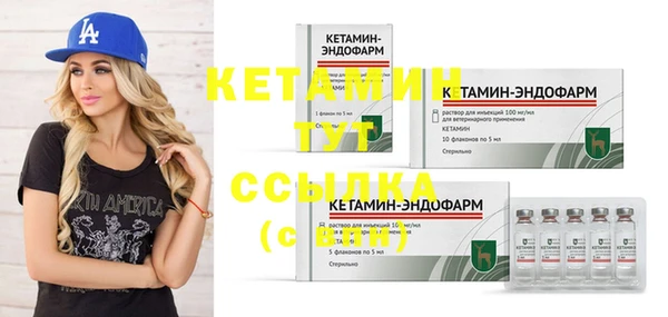 амф Дмитров
