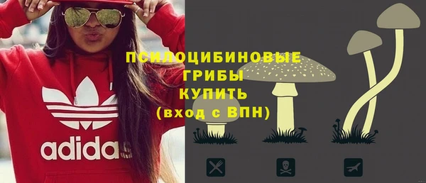 соль курить ск Дмитровск