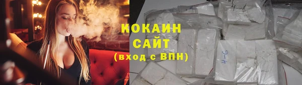 мдпв Дмитриев