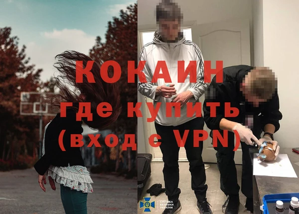 мдпв Дмитриев