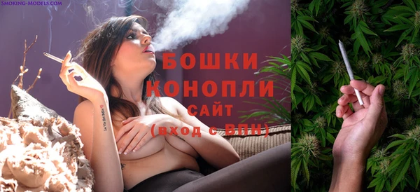 соль курить ск Дмитровск