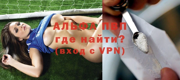 мдпв Дмитриев