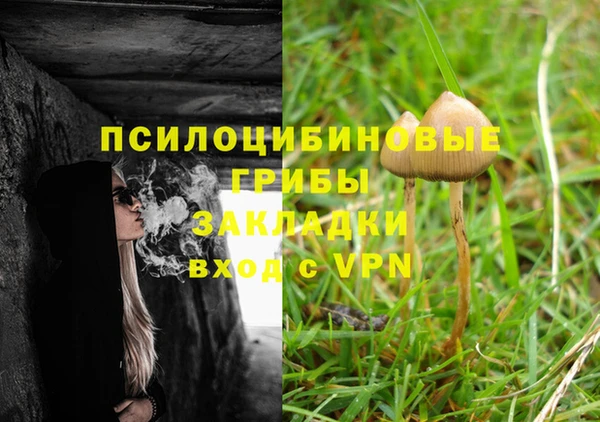 мдпв Дмитриев